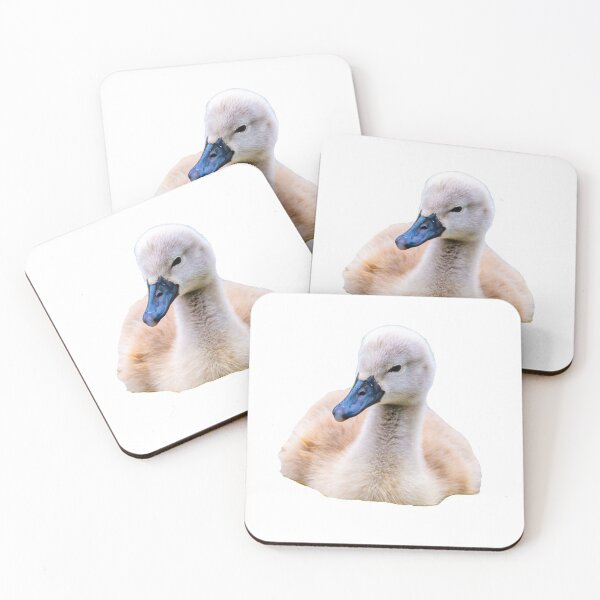 Item preview, Mute Swan Cygnet designed and sold by Dalyndigital Photography.
