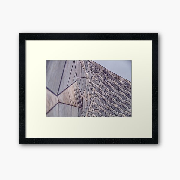 Museum of Liverpool Diamond Scales Framed Art Print