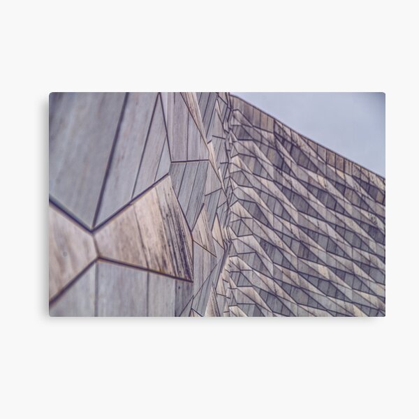 Museum of Liverpool Diamond Scales Canvas Print