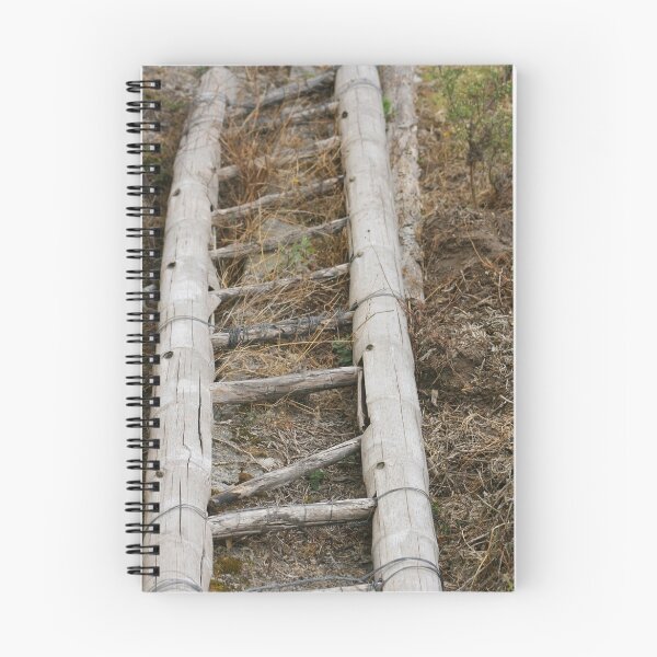 Item preview, Wooden Bamboo Ladder designed and sold by rhamm.