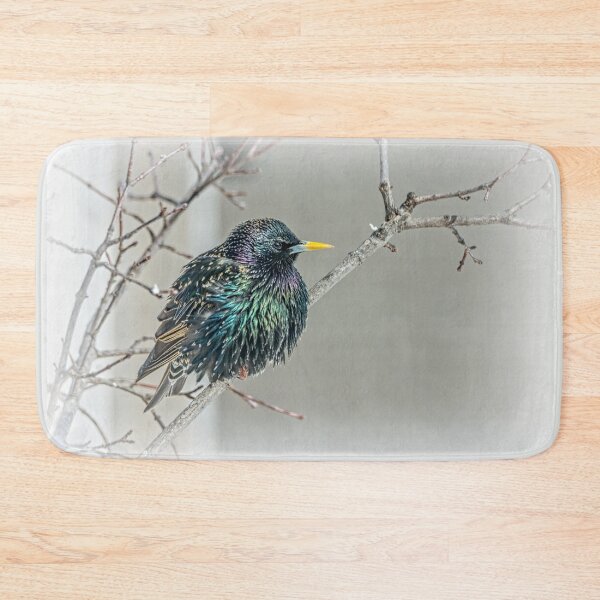 Item preview, European Starling Showing Its Colors by Debra Martz designed and sold by Debra Martz.