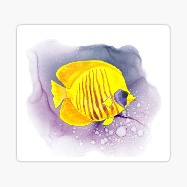 Sticker Falterfisch Redbubble