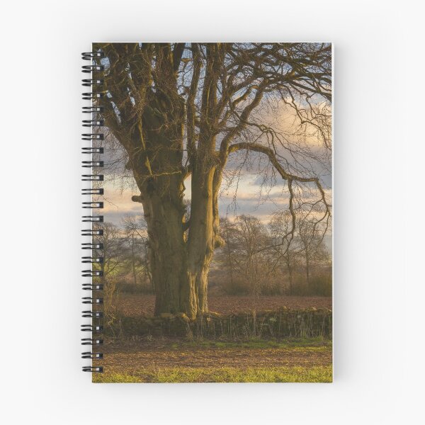 Artikelvorschau, North Cotswolds entworfen und verkauft von andrewroland.