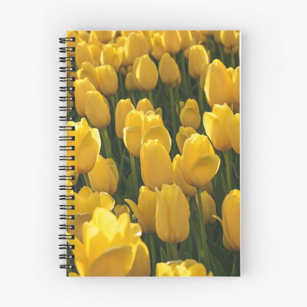 Item preview, Tulips 6 designed and sold by Praytera.