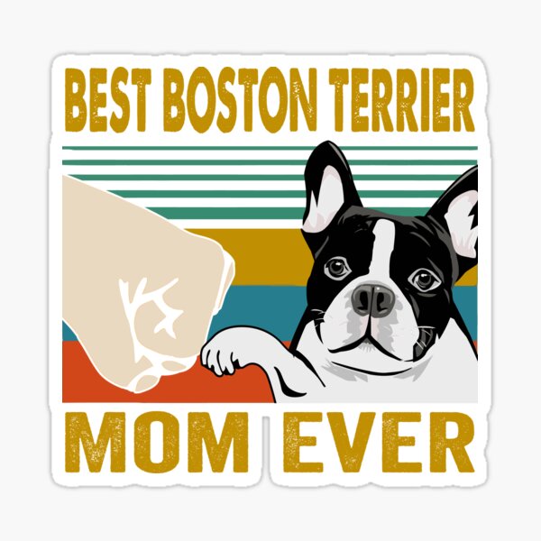 Details about / Pride Of A Boston Terrier Mom Sticker Portrait