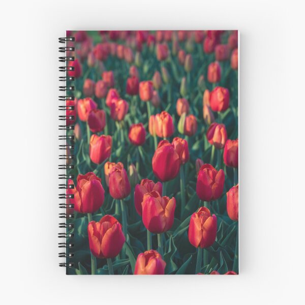 Item preview, Tulips 7 designed and sold by Praytera.