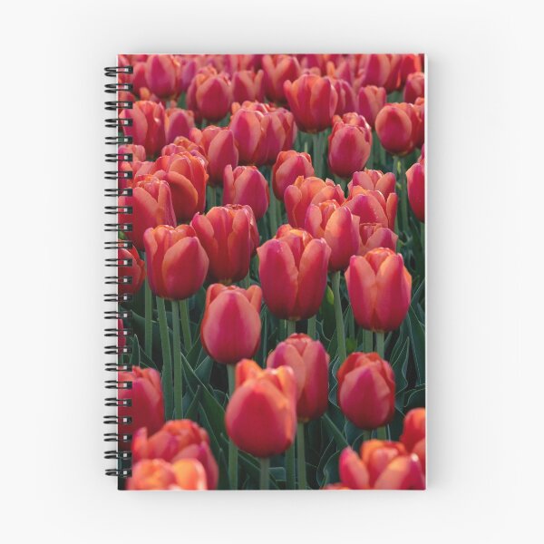 Item preview, Tulips 9 designed and sold by Praytera.