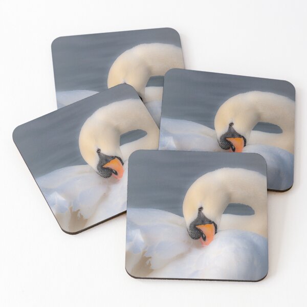 Item preview, Swan preen time designed and sold by Dalyndigital Photography.