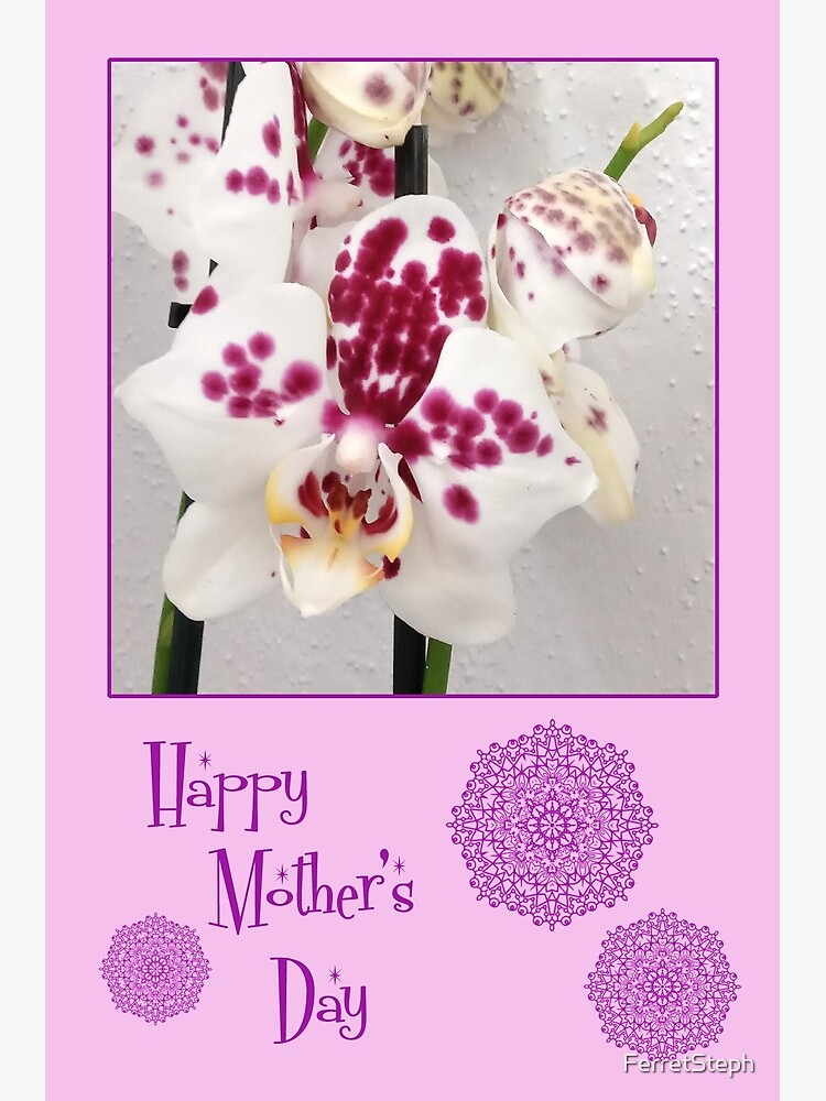 Tarjetas de felicitación «Tarjeta del día de la madre, orquídeas» de  FerretSteph | Redbubble