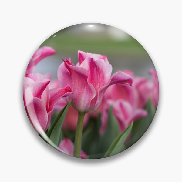 Item preview, Tulips 10 designed and sold by Praytera.