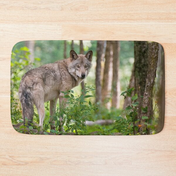 Artikelvorschau, Grauer Wolf entworfen und verkauft von Michael Cummings.