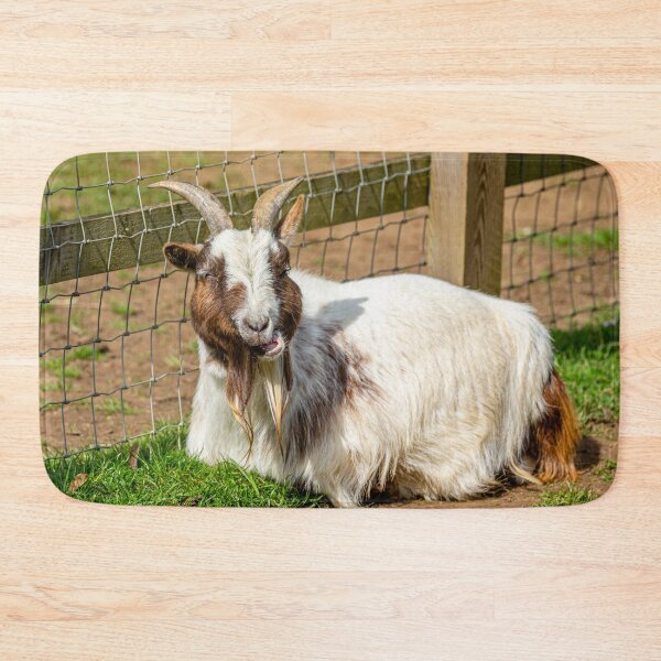 Item preview, British Toggenburg goat designed and sold by Dalyndigital Photography.