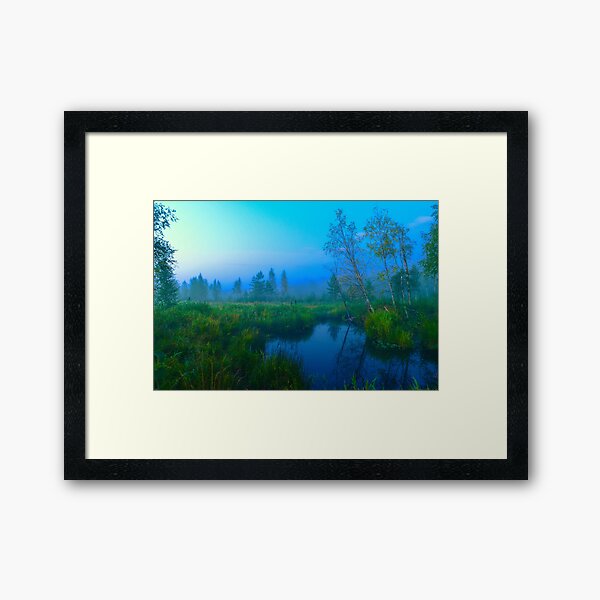 Misty dawn in a wild forest area Framed Art Print