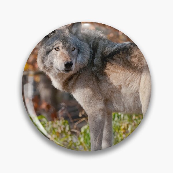 Item preview, Timber Wolf designed and sold by Michael Cummings.