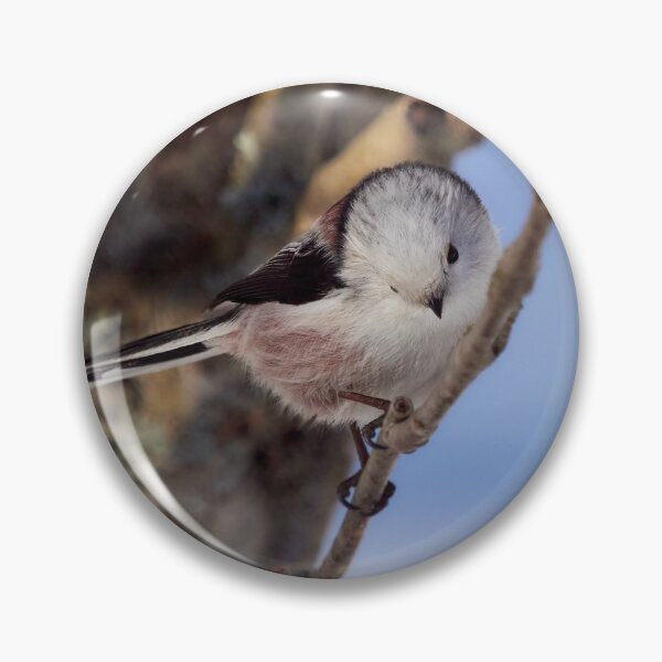 Item preview, Bow and blues. Long-tailed tit designed and sold by Jouko Lehto Photography.