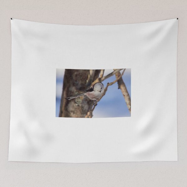 Item preview, Bow and blues. Long-tailed tit designed and sold by Jouko Lehto Photography.