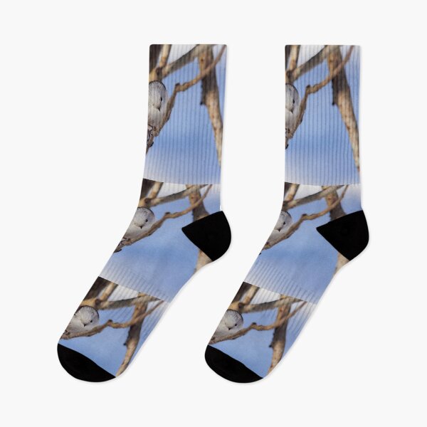Item preview, Bow and blues. Long-tailed tit designed and sold by Jouko Lehto Photography.