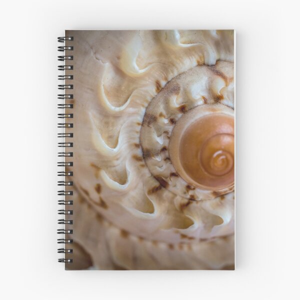 Item preview, Natural beauty designed and sold by peter hayward.