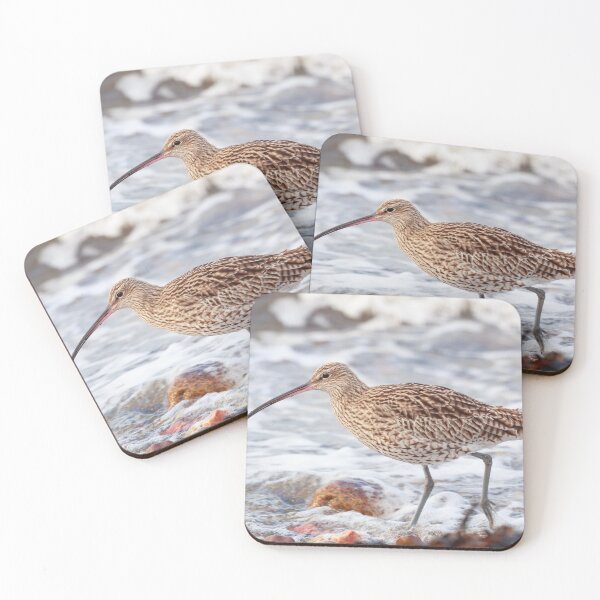 Item preview, The long beaked curlew wading bird designed and sold by chanonry.