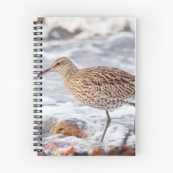 Item preview, The long beaked curlew wading bird designed and sold by chanonry.