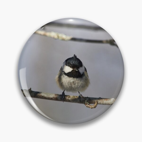 Item preview, I just wanted to be like the Crested Tit. Coal tit designed and sold by Jouko Lehto Photography.