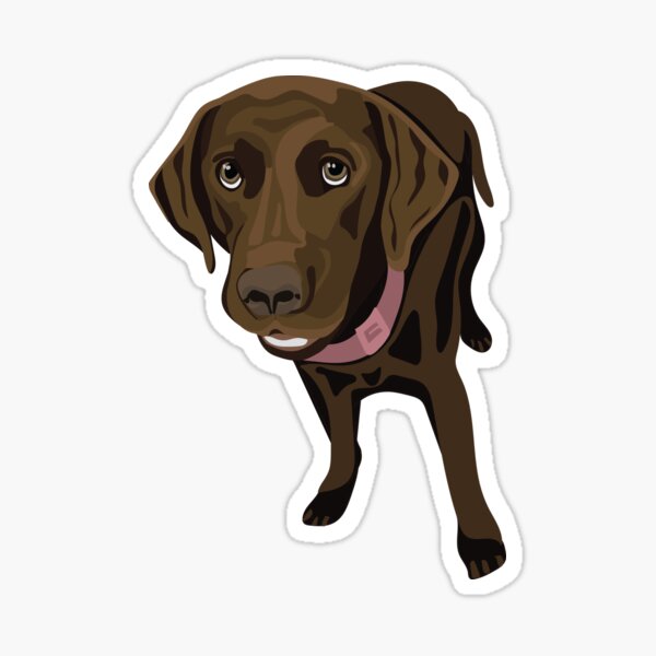 Chocolate Lab in a Yeti Cooler  Sticker for Sale by Cactus0