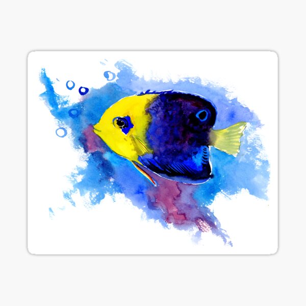 Artikel-Vorschau von Zwerg Angelfish, designt und verkauft von surenart.