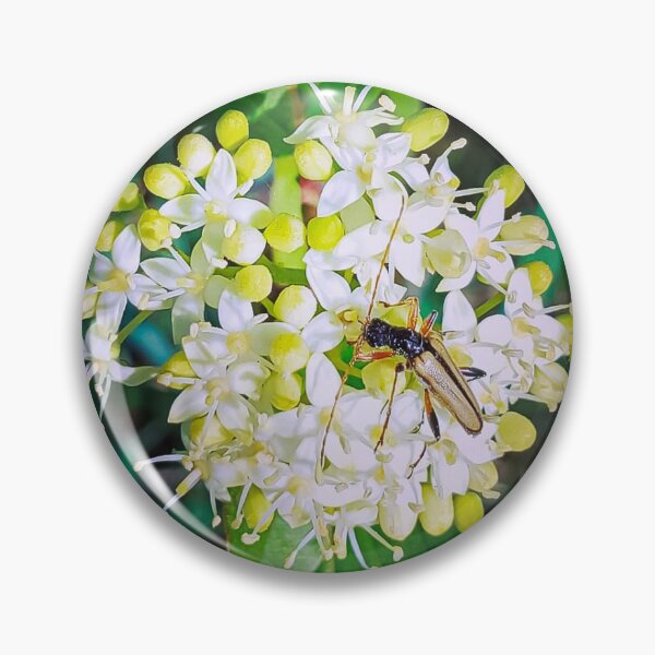 Item preview, Spring Beetle  designed and sold by Nico Hutch.