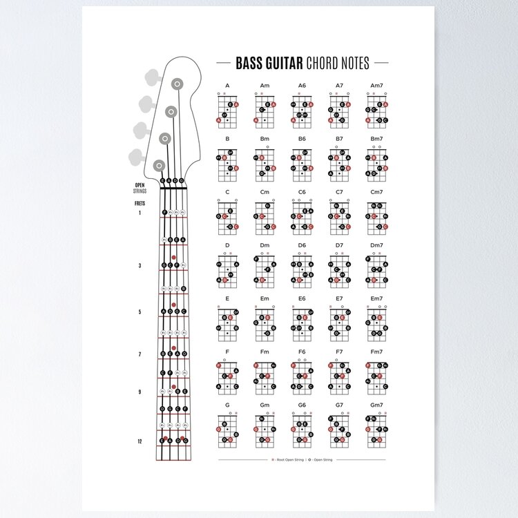 Bass Guitar Chord & Fretboard Notes | Canvas Print