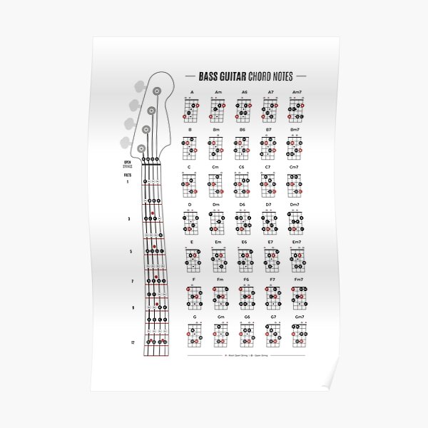 Bass Guitar Chord & Fretboard Notes Poster