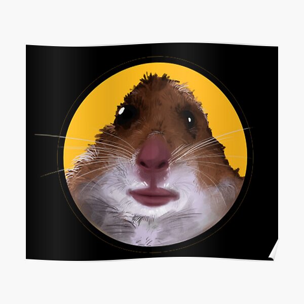 Staring Hamster Posters | Redbubble