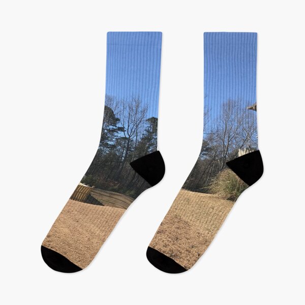 Item preview, Backyard Beautiful Clear Blue Sky Tall Woodland Trees Sunburnt Earthy Brown Grass Landscape Shrub Plants designed and sold by NadeenInspires.
