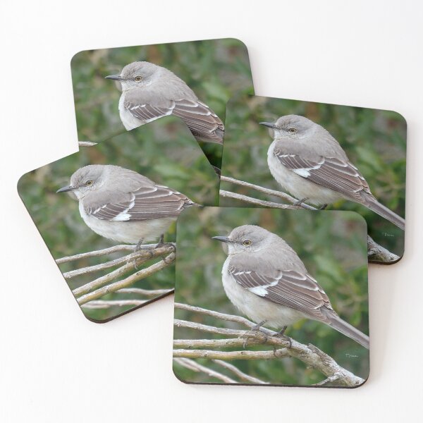 Item preview, Patagonian Mocking Bird designed and sold by Tom3Piorkowski.