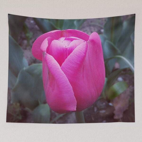 Item preview, Pink Tulip Carola designed and sold by fowons.