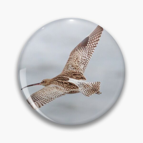 Item preview, The curlew designed and sold by chanonry.