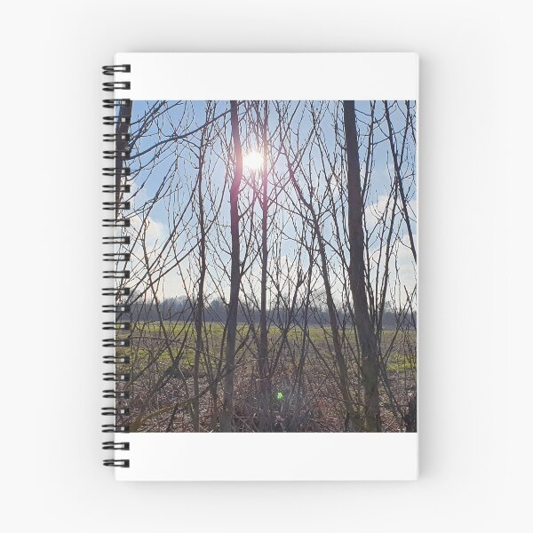 Item preview, Sunset through trees Photography designed and sold by s10-Photography.