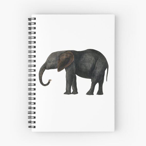 Aperçu de l'œuvre Ellie l'éléphant créée et vendue par ConceptualUsage.