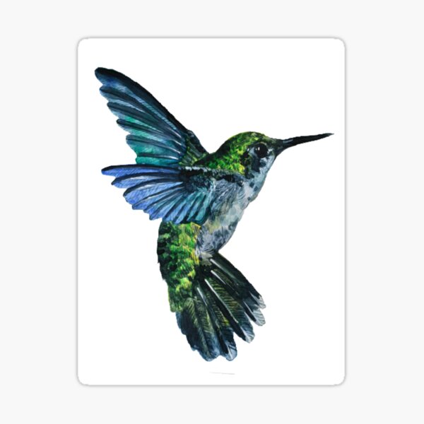 Vista previa del artículo con la obra «Colibrí de la naturaleza», diseñado y vendido por Ravanna Lotus.