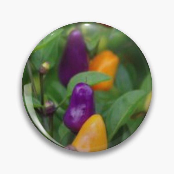 Item preview, Beautiful colourful chilis. designed and sold by Lan thi Nguyen.