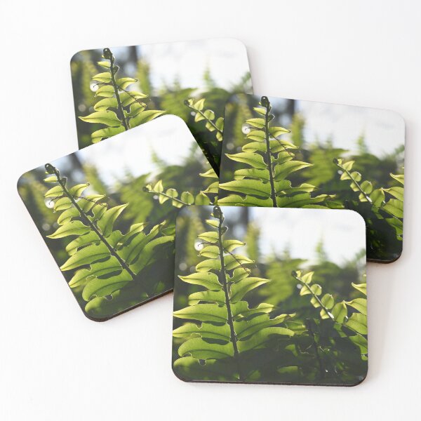 Item preview, Fern designed and sold by NanaPhoto07.