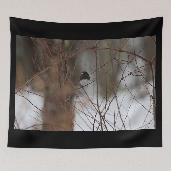 Item preview, Dark-eyed Junco in Winter designed and sold by LisaNaturePhoto.