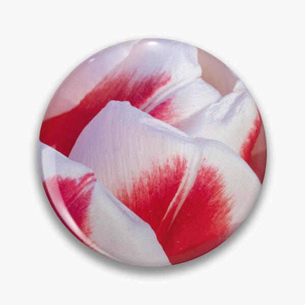 Item preview, Red and White Tulip designed and sold by Praytera.