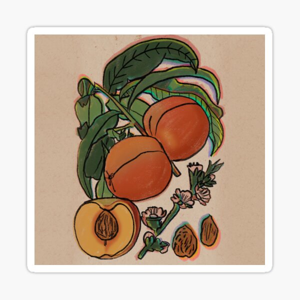 Peaches Sticker