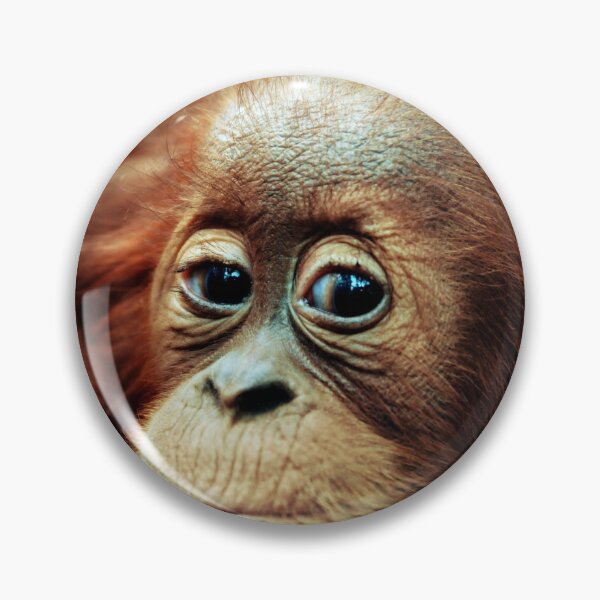 Item preview, Here's looking at you designed and sold by sully.