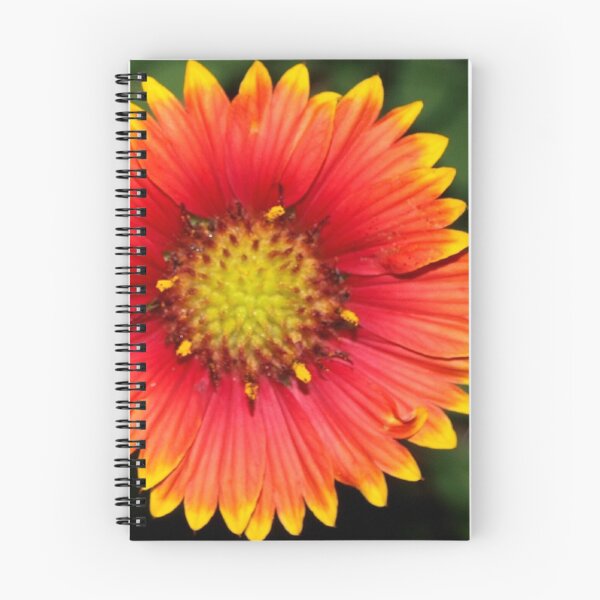 Item preview, Blanket flower against green designed and sold by B. Randi Bailey.