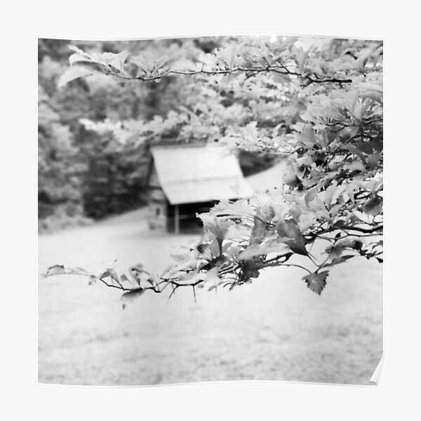Black and White Cabin Photograph Poster