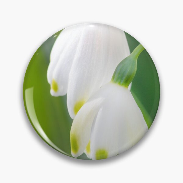 Item preview, Snowdrops designed and sold by Dave Hare Photography.
