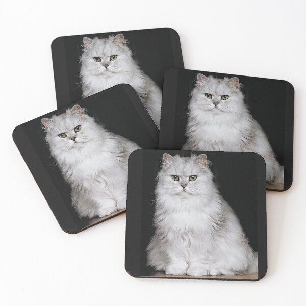 Artikelvorschau, r2749/ 1 " Choupette " avec le Studio Portable Okaio et 3 (bal) flahs Okaio - Les Chats du temps de l'Argentique - Cats from the time of the film " (h) Olavia-Olao Okaio Créations entworfen und verkauft von o.okaïo.