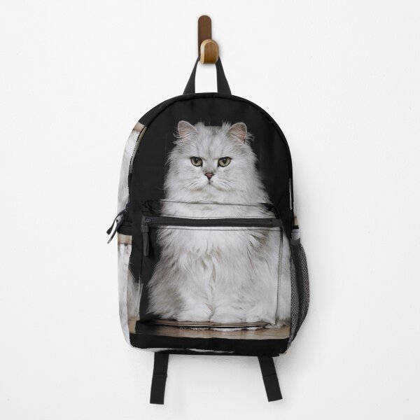 Item preview, r2749/ 1 " Choupette " avec le Studio Portable Okaio et 3 (bal) flahs Okaio - Les Chats du temps de l'Argentique - Cats from the time of the film " (h) Olavia-Olao Okaio Créations designed and sold by o.okaïo.