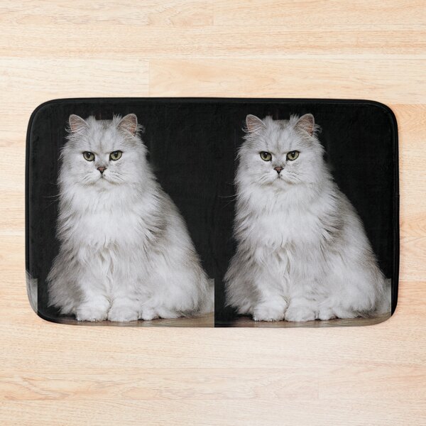 Item preview, r2749/ 1 "  Choupette " avec le Studio Portable Okaio et 3 (bal) flahs Okaio  - Les Chats du temps de l'Argentique - Cats from the time of the film "  (h) Olavia-Olao Okaio Créations designed and sold by o.okaïo.